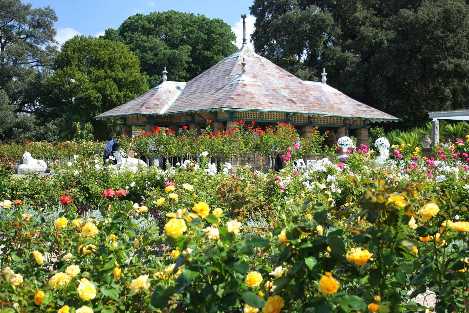 Vườn bách thảo hoàng gia Melbourne Sydney