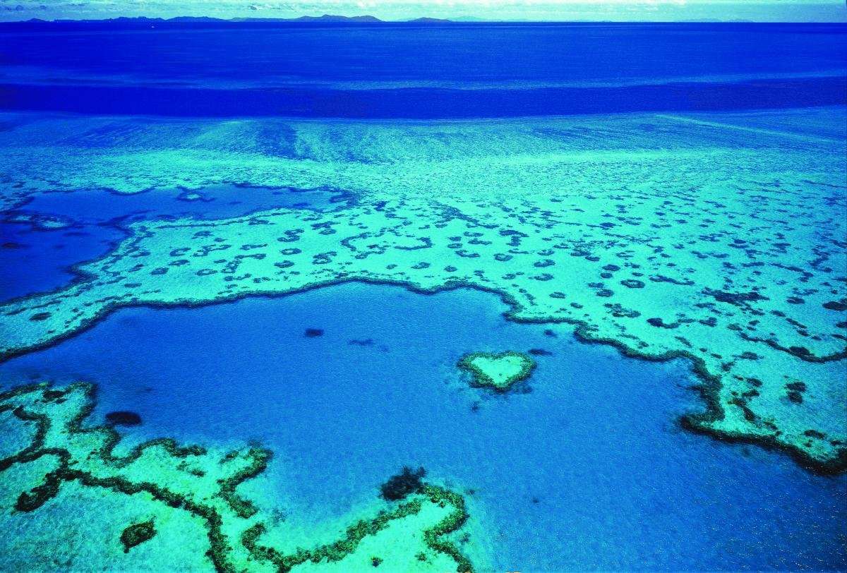 Great Barrier Reef là vỉa san hô lớn nhất trên thế giới