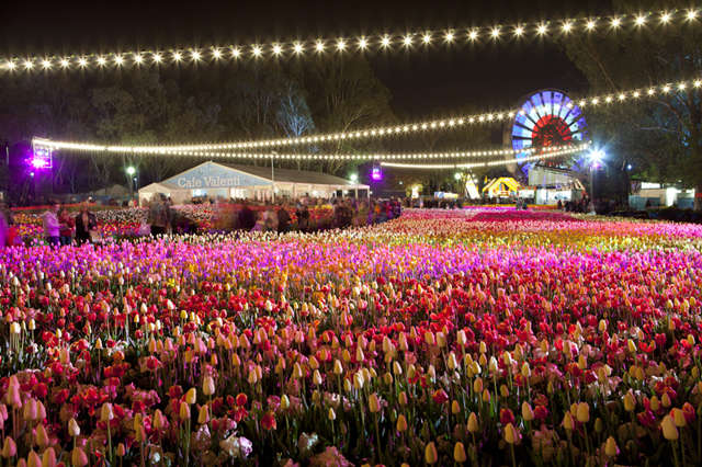 Lễ hội hoa Floriade
