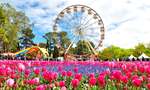 Lễ hội hoa Floriade ở Úc: Lễ hội "thần tiên" kéo dài nhất Australia