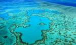 Rạn san hô Great Barrier Reef ở đâu? Trải nghiệm rạn san hô đẹp nhất thế giới
