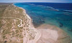 Đến Úc phải ghé biển Ningaloo beach Australia có rặng ran hô nổi tiếng