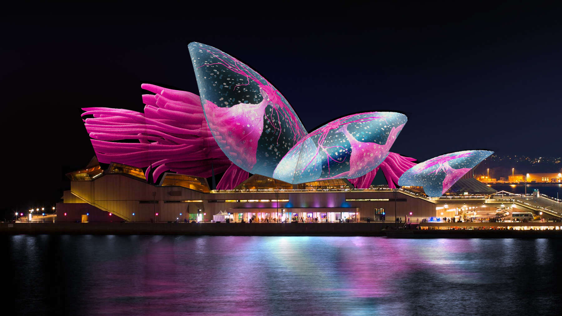 Lễ hội âm thanh ánh sáng Vivid Sydney vô cùng ấn tượng