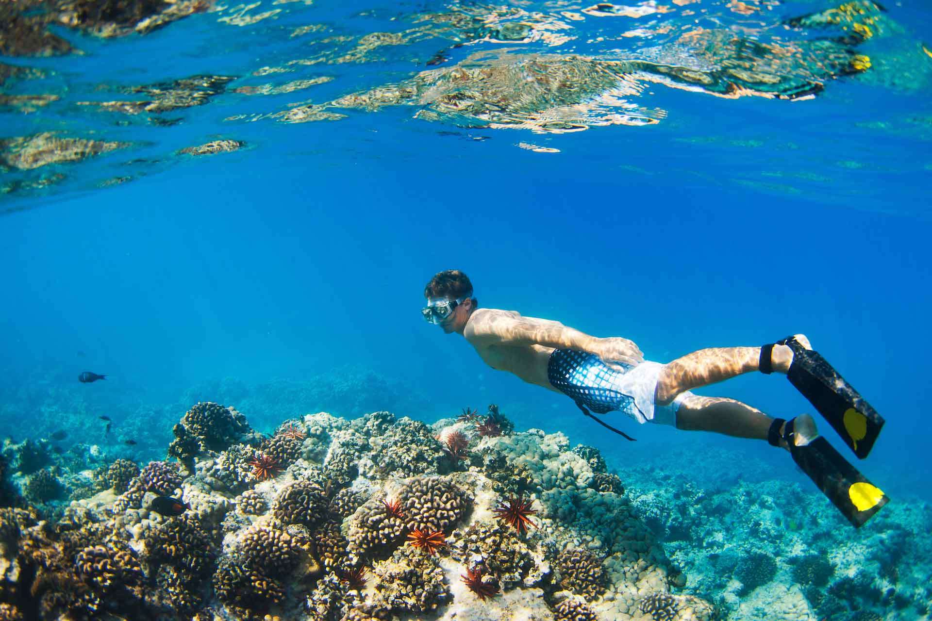 Lặn biển ngắm san hô là hoạt động giải trí được yêu thích ở quần đảo Whitsundays
