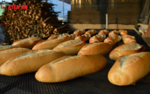 Shop bánh mì gần Parramatta cần thợ chính và thợ phụ làm fulltime hoặc partime